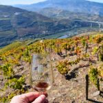 2015 Port Harvest Tour Quinta do Vallado