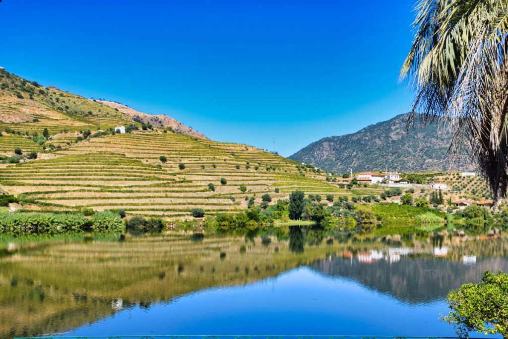 The View from Quinta do Vesuvio