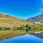 2016 Port Harvest Tour The View from Quinta do Vesuvio