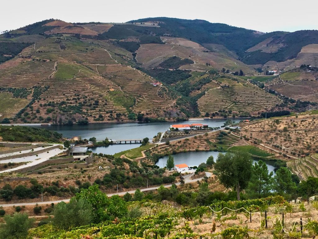 Quinta do Nápoles Vineyards, Where the Rio Tedo Flows into the Douro River